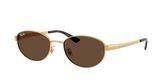 Ray Ban RB3774D Sunglasses