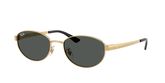 Ray Ban RB3774D Sunglasses