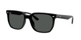 Ray Ban RB4466D Sunglasses