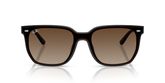 Ray Ban RB4466D Sunglasses
