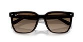 Ray Ban RB4466D Sunglasses