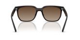 Ray Ban RB4466D Sunglasses