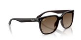 Ray Ban RB4466D Sunglasses