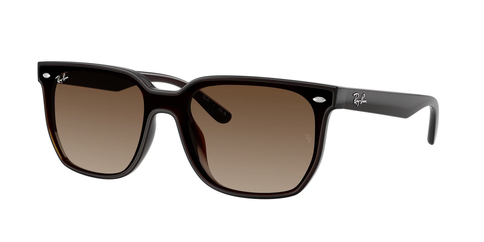 Ray Ban RB4466D Sunglasses