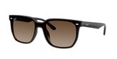 Ray Ban RB4466D Sunglasses