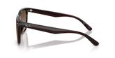 Ray Ban RB4466D Sunglasses