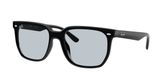 Ray Ban RB4466D Sunglasses