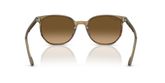 Ray Ban RB2197F ELLIOT Sunglasses