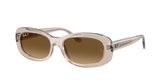 Ray Ban RB2221F Sunglasses