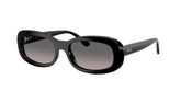 Ray Ban RB2221F Sunglasses
