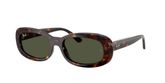 Ray Ban RB2221F Sunglasses