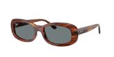 Ray Ban RB2221F Sunglasses