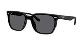 Ray Ban RB4466D Sunglasses