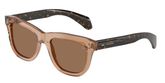 Moncler ME6023 BRONZZ Sunglasses