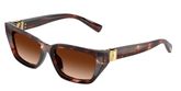 Dolce & Gabbana DG4532 Sunglasses