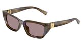 Dolce & Gabbana DG4532 Sunglasses