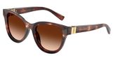 Dolce & Gabbana DG4533 Sunglasses