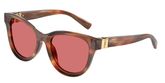 Dolce & Gabbana DG4533 Sunglasses