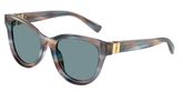 Dolce & Gabbana DG4533 Sunglasses