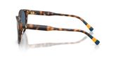 POLO PH4241U Sunglasses