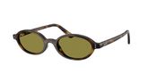 Ray Ban RB4472 Sunglasses