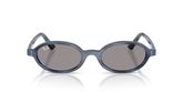 Ray Ban RB4472 Sunglasses