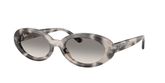 Ray Ban RB2223 Sunglasses