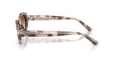 Ray Ban RB2223 Sunglasses