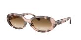 Ray Ban RB2223 Sunglasses
