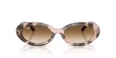 Ray Ban RB2223 Sunglasses