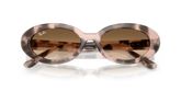 Ray Ban RB2223 Sunglasses