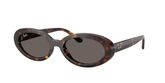 Ray Ban RB2223 Sunglasses