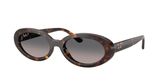 Ray Ban RB2223 Sunglasses