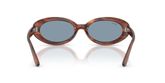 Ray Ban RB2223 Sunglasses