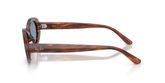 Ray Ban RB2223 Sunglasses