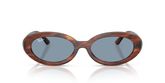 Ray Ban RB2223 Sunglasses