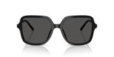 Dolce & Gabbana DG4539 Sunglasses