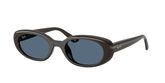 Ray Ban RB4441D Sunglasses