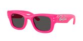 Ray Ban RB4940B WAYFARER PUFFER Sunglasses