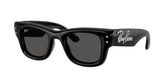 Ray Ban RB4940B WAYFARER PUFFER Sunglasses