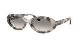 Ray Ban RB2223F Sunglasses