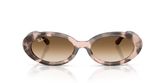 Ray Ban RB2223F Sunglasses
