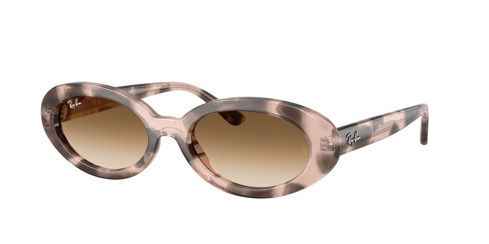 Ray Ban RB2223F Sunglasses