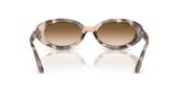 Ray Ban RB2223F Sunglasses