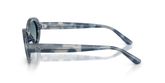 Ray Ban RB2223F Sunglasses