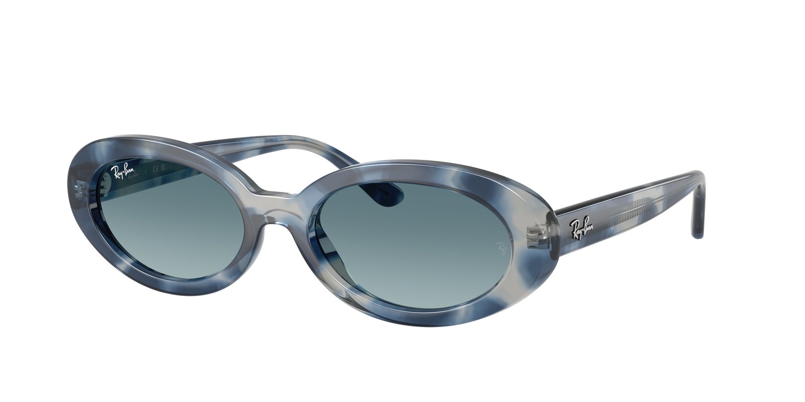 Ray Ban RB2223F Sunglasses
