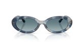 Ray Ban RB2223F Sunglasses