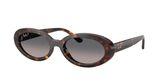 Ray Ban RB2223F Sunglasses