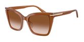Emporio Armani EA4273BU Sunglasses