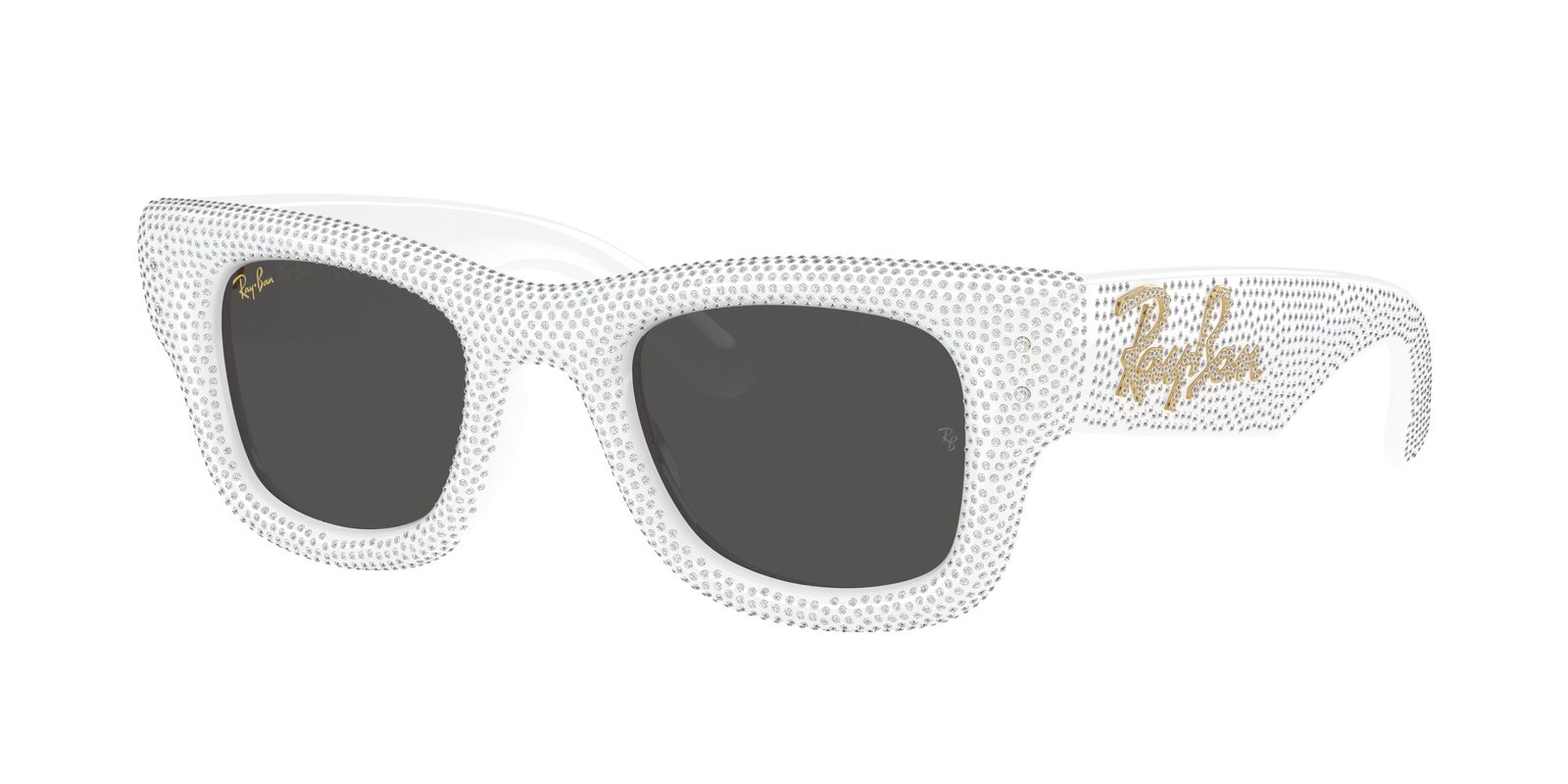 Ray Ban RB4940BP WAYFARER PUFFER Sunglasses